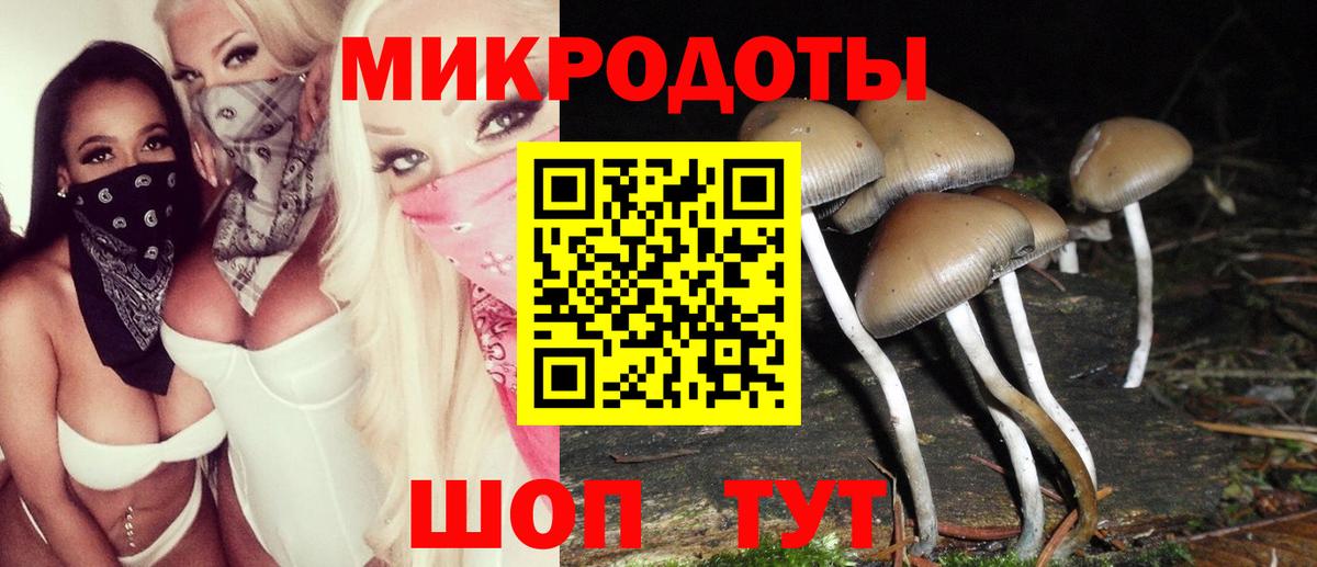 Галлюциногенные грибы Psilocybe  Вход с VPN  Лабинск 